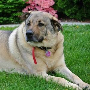 Meet your Posher, Roseann